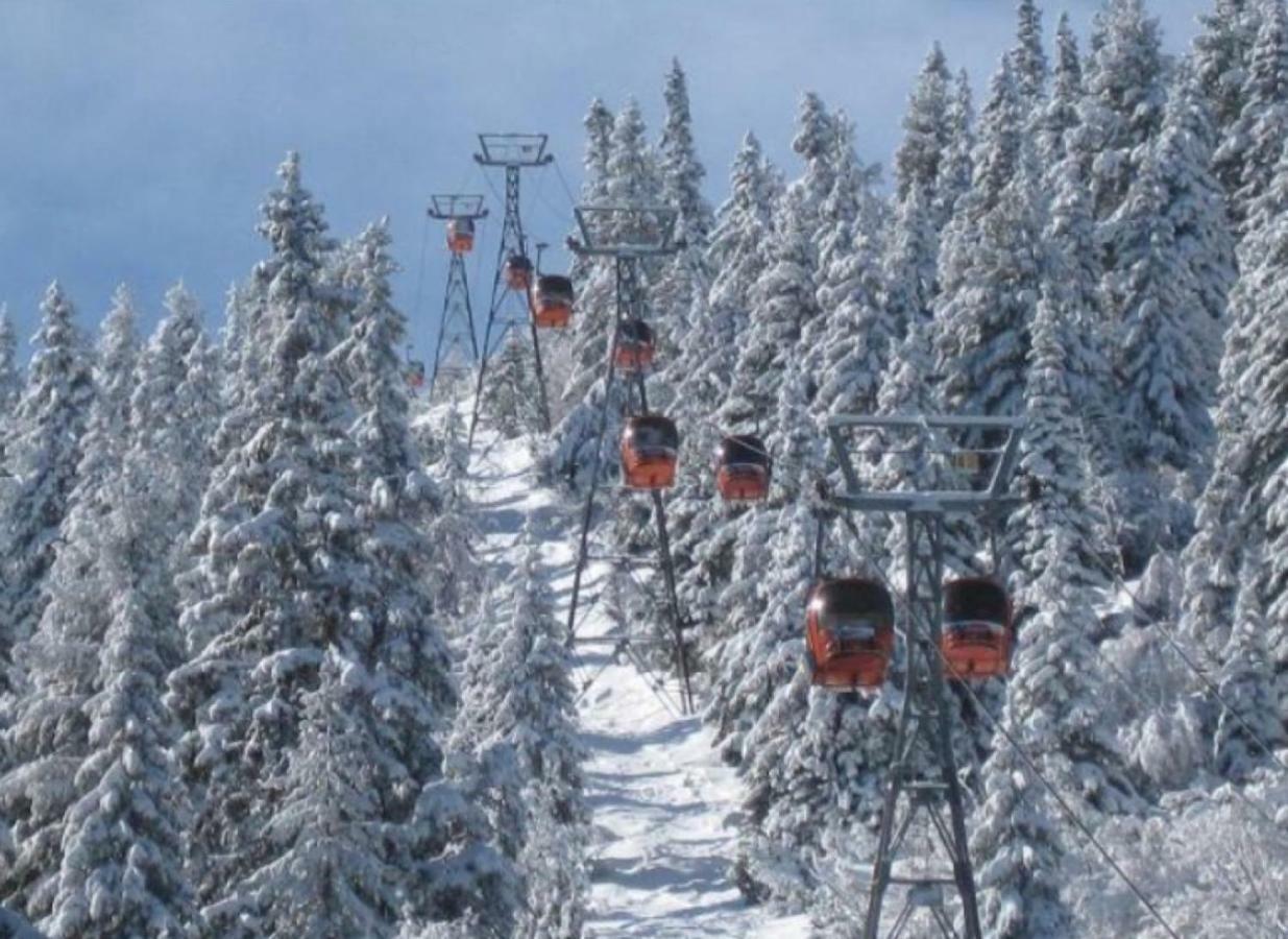 Borovets Gardens Studio D36 Bagian luar foto